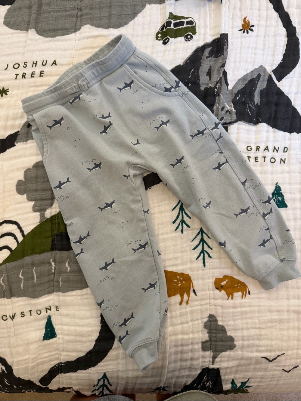 Rylee + Cru Light Gray Shark Print Joggers